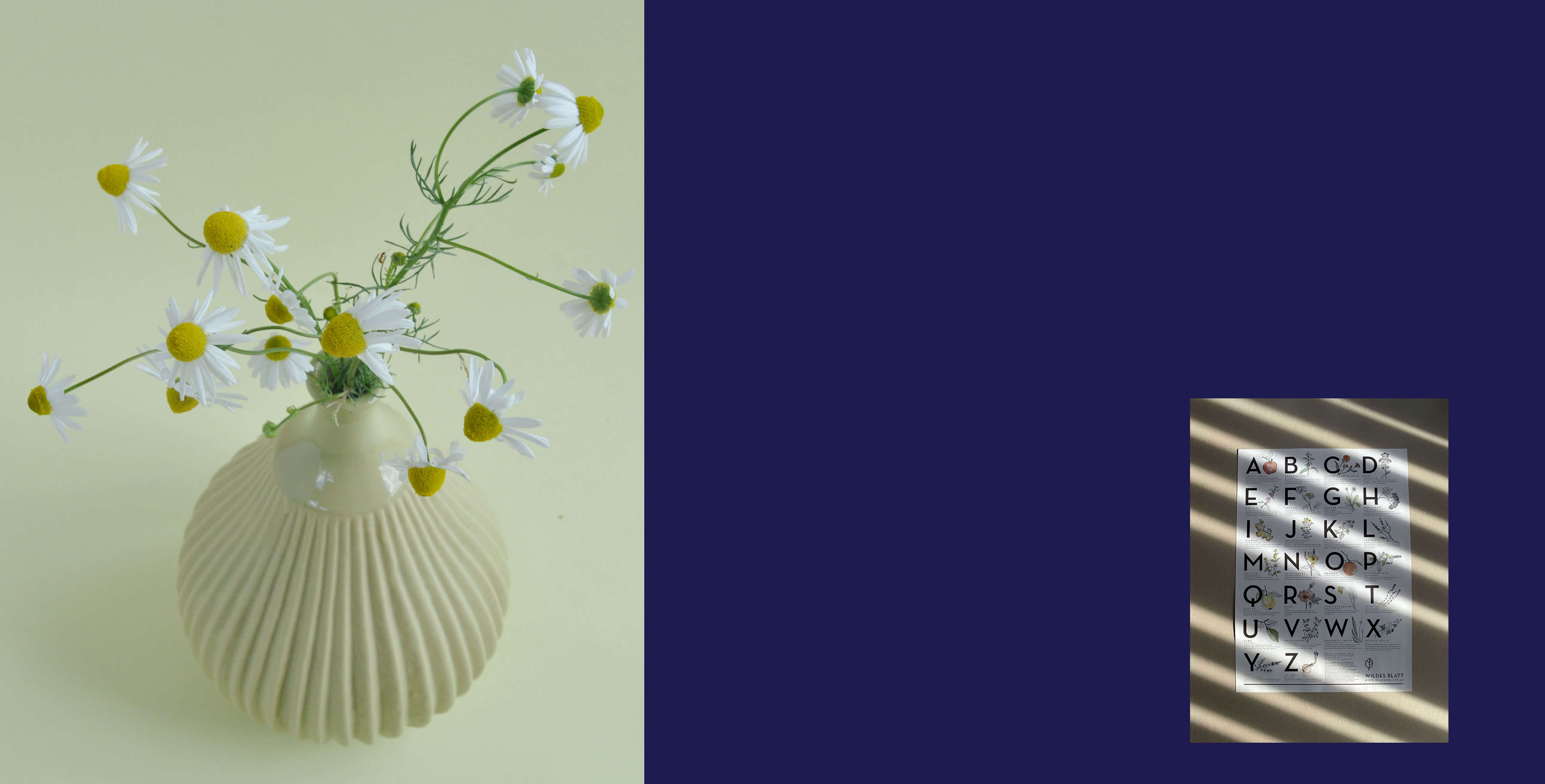 grafik design