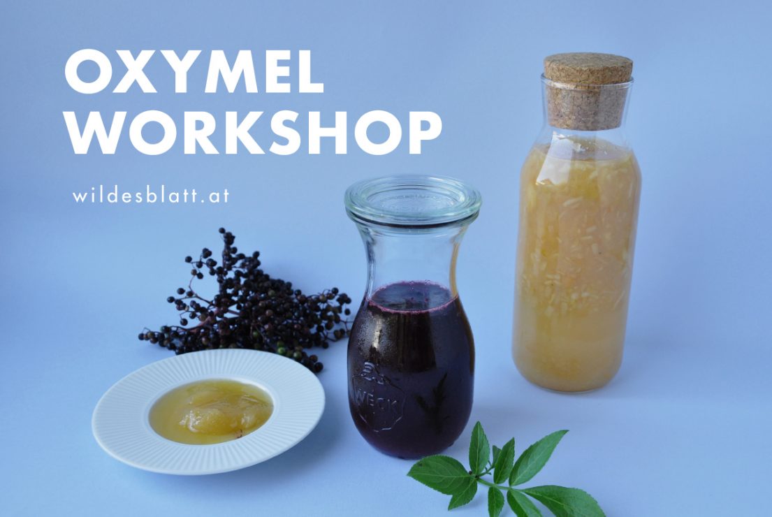 Oxymel Workshop