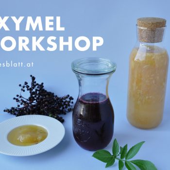 Oxymel Workshop