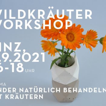 Wildkräuter Workshop